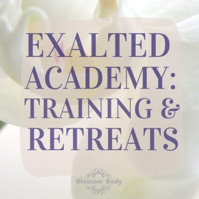Exalted Academy: Trainings & Retreats
