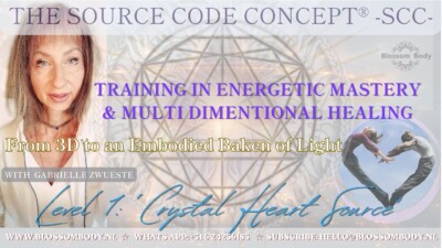The Source Code Concept® SEMINAR IN ENERGETIC MASTERY & MULTI DIMENTIONAL HEALING - Level 1: 'Crystal Heart Source'
